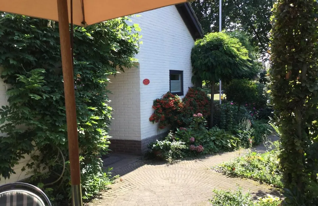 B&B Bosrand-1
